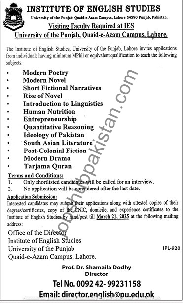 punjab university jobs march 2025